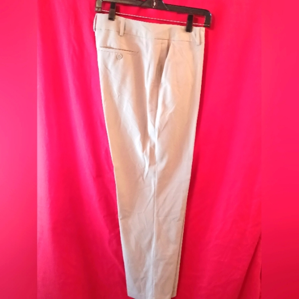 Tan dress pants professional
